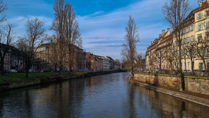 Toiletteur Strasbourg